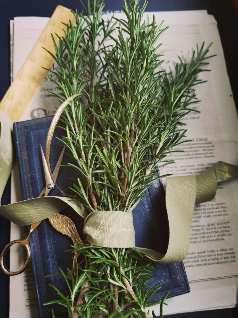 Herbalism Books That Shaped My Practice